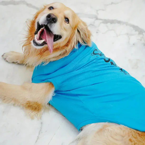 ZL Pet So Proud Dog T-Shirt-Large